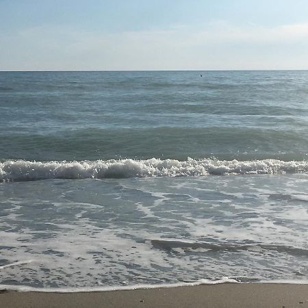 African Beach Ippocampo Bagian luar foto