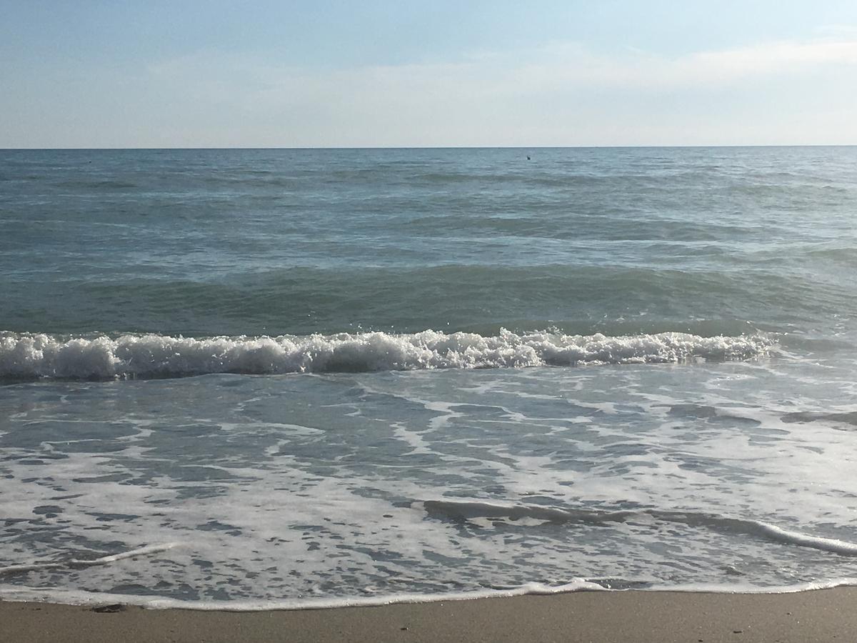 African Beach Ippocampo Bagian luar foto