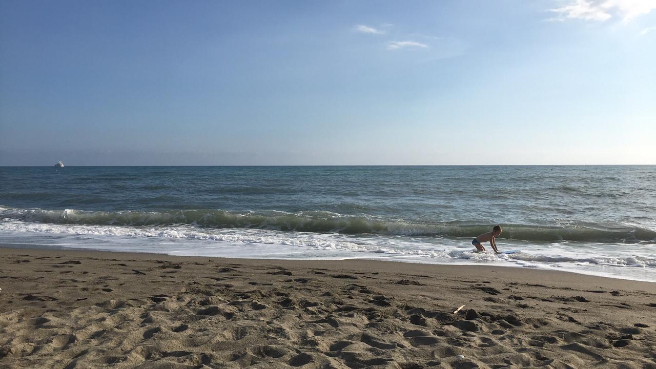 African Beach Ippocampo Bagian luar foto